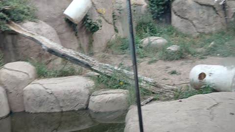 Cheyenne Mountain Zoo Part 14