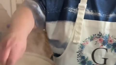 chicken and drop dumplings