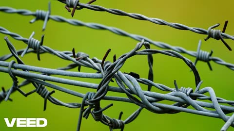 Trump's deportees