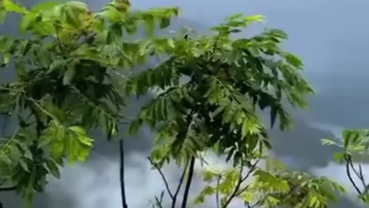 Waterfall nature lover📍