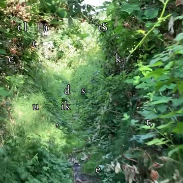 The Path of Abundance and Clarity | Path and Tarot Reading