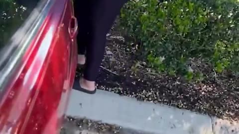 Racism in 2026: Families Separated, Rights Violated & Power Abuse Exposed