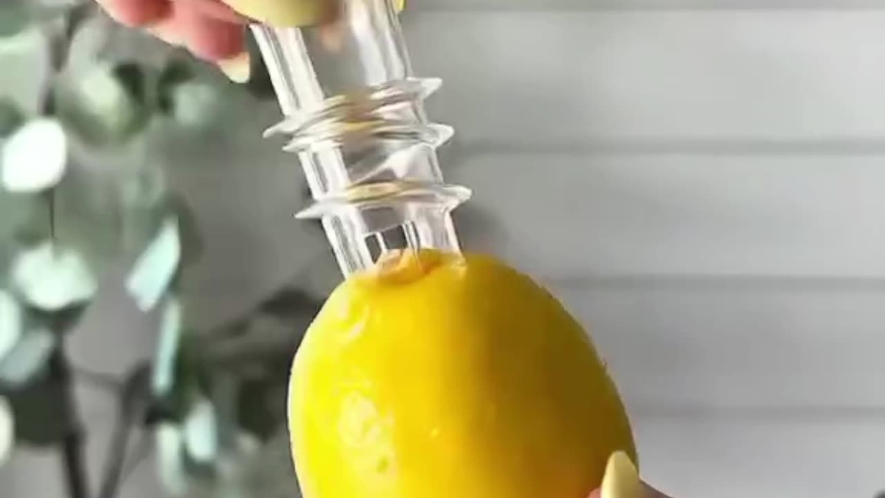 Magic Citrus Juicer for Lemon & Orange | Compact Kitchen Tool 🍊