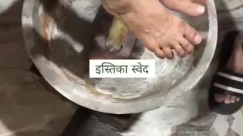 What is Ishtika Sweda Therapy & How to Perform See Liver Jeena Sikho Ghaziabad