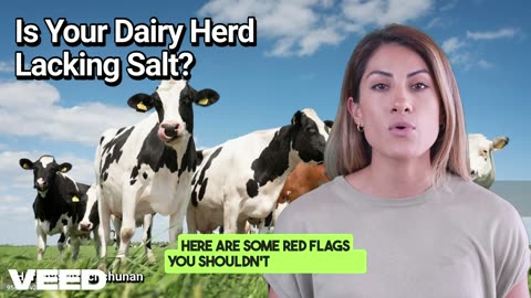 Unlock Dairy Success:The Salt Secret