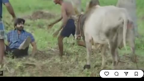 VIDEO: Bull attacks hero during shooting