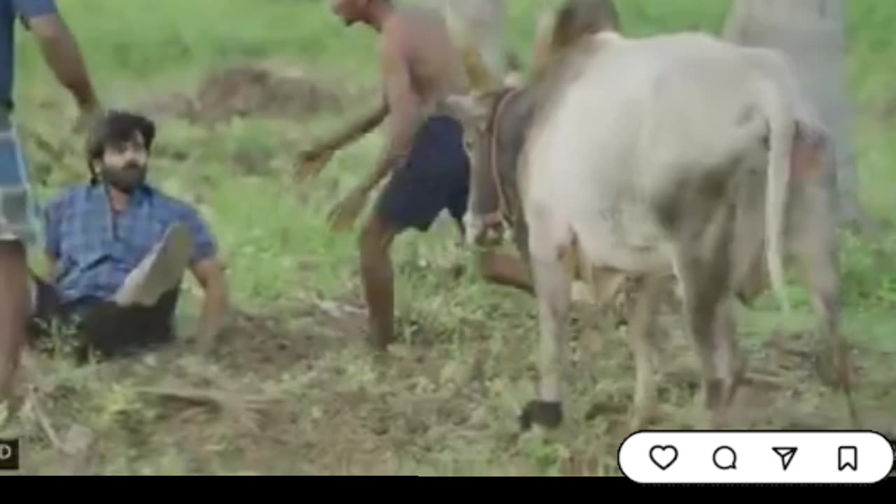 VIDEO: Bull attacks hero during shooting