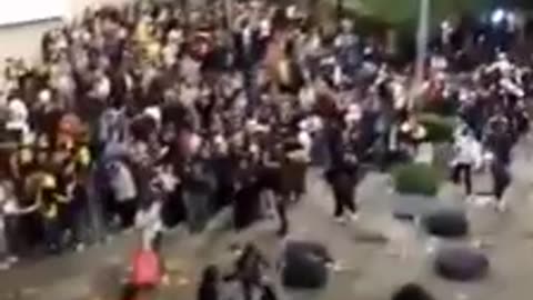 Caos en Bogotá: Hinchas de Colombia y Venezuela protagonizan violenta pelea tras eliminatorias