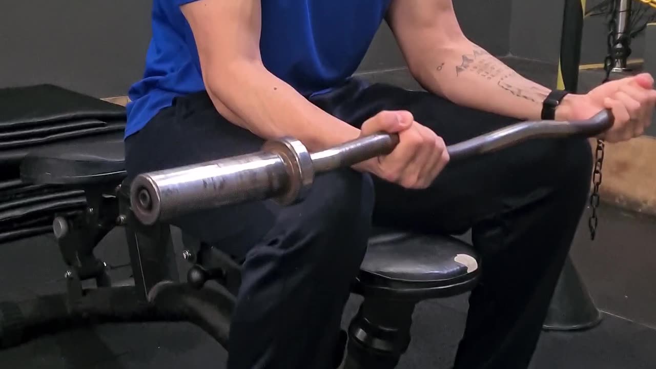 Barbell Wrist Curl Sitting/ Rosca Punho com Barra Sentado