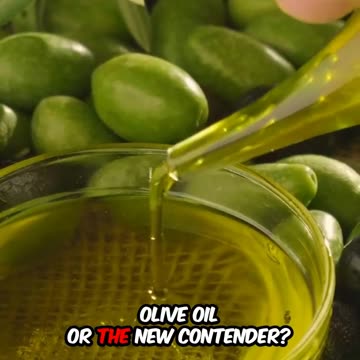 Olive or Contender? Choosing the Right One for You