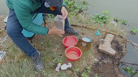 Perch Fly Fishing in Lake Shore Waters