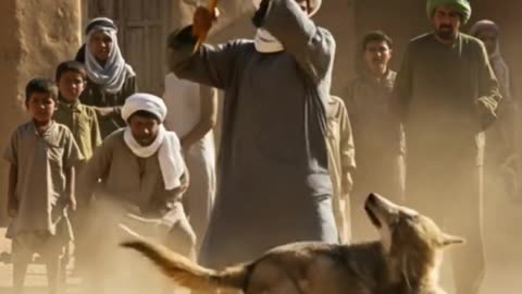 Goat Nearly Taken by Wolf Until Brave Farmer Strikes Back