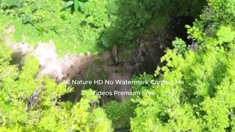 Nature video with music