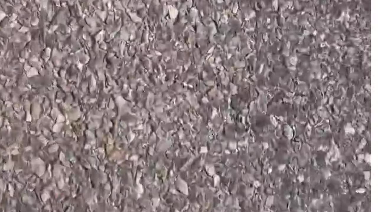 Reptiles' epic funny moments