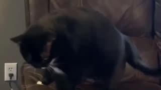 He sat like a dad.