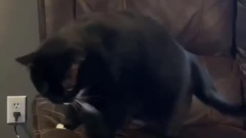 He sat like a dad.