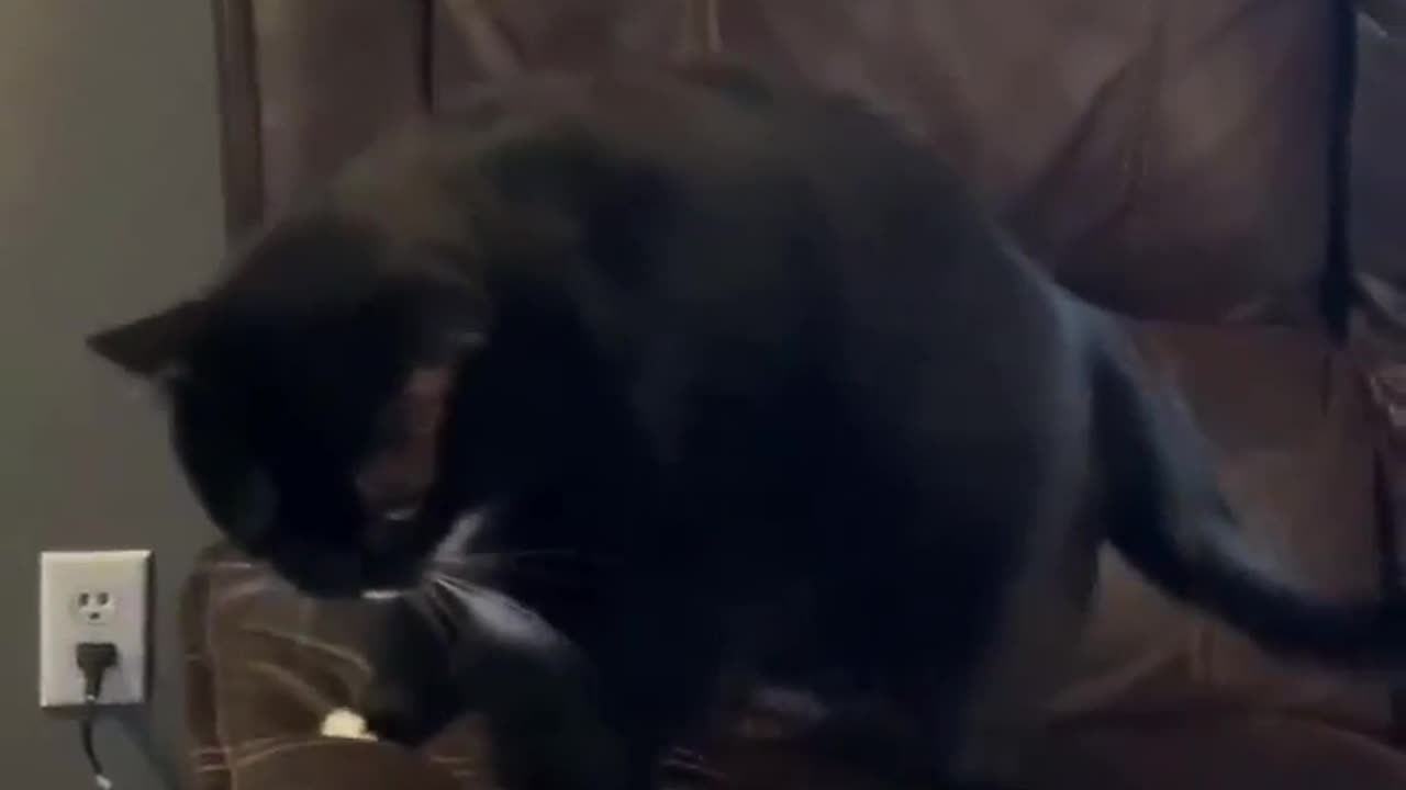He sat like a dad.