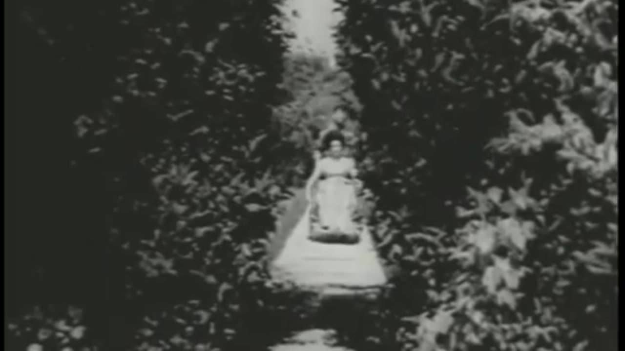 HAYATIMIN ÇİÇEĞİ