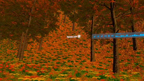 Wood Land Haven