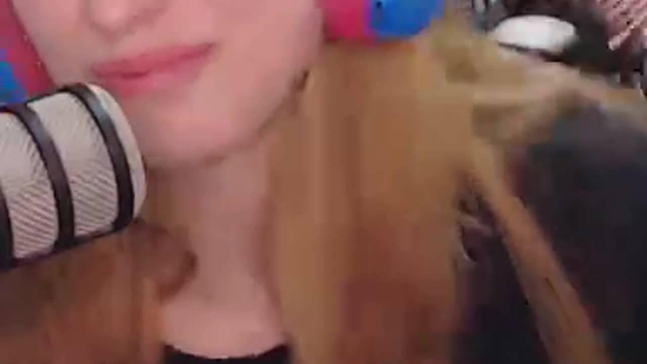 Sigan a mi mariado ⁨Skeleroach⁩