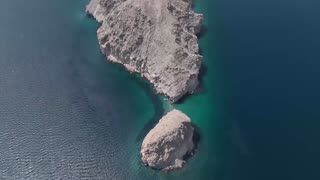Divers plant coral fragments to boost Oman reef growth