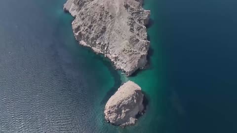 Divers plant coral fragments to boost Oman reef growth