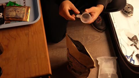 Unlocking Seed Pop: 3 Germination Methods + Why H2O2 Works
