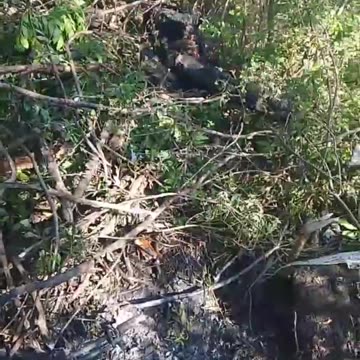 Ukraine war combat footage 9/15/25