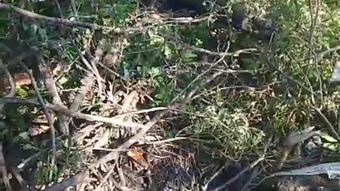 Ukraine war combat footage 9/15/25