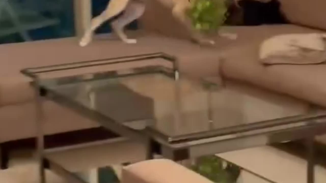 😔