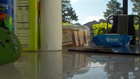 Post KOLORA FREN Council IV: Aspirin and Coffee at Daylight