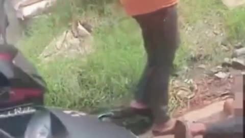 Dalit Men Forced to Eat Grass, Crawl 2 KM in Odisha – “Cow Protectors” or Extortionists?