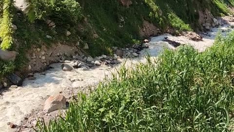 Daily Horoscope | Aquarius 🌟