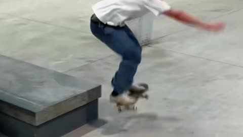 🤯🛹 Too Good! Wait For It... | SkateNation