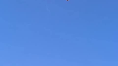 Brazil Hot Air Balloon Tragedy: Carrying 22 Passengers, 8 Killed in Horrific Crash.