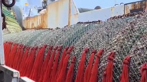 Fishing on an industrial scale ..