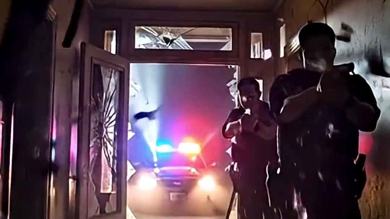 THE CAT SEES SOMETHING