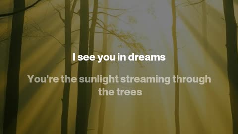 Digital Death Growl - You're The Sunlight Streaming Through The Trees