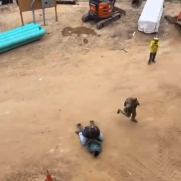 In America they hunt down and capture illegal invaders and then deport them.