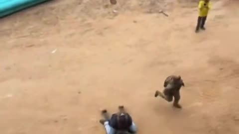 In America they hunt down and capture illegal invaders and then deport them.
