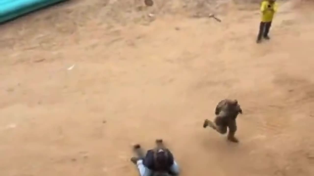 In America they hunt down and capture illegal invaders and then deport them.