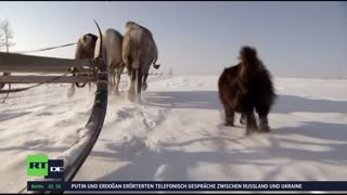 RT DE | 24/7 Live-TV