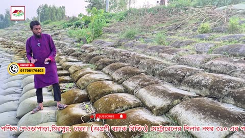 Geo Bag Step by Step সাজানোর সঠিক নিয়ম 🌱 | ছাদবাগান শুরু করার সহজ গাইড | Siraj Tech