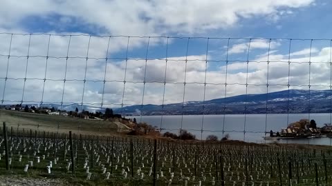 Exploring Greenbay Osprey Park And Boucherie Multi Use Pathway In West Kelowna BC!