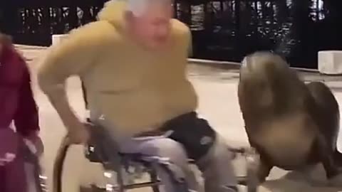 🤗😂 This Lonely Guy Just Wants a Friend | FunFM