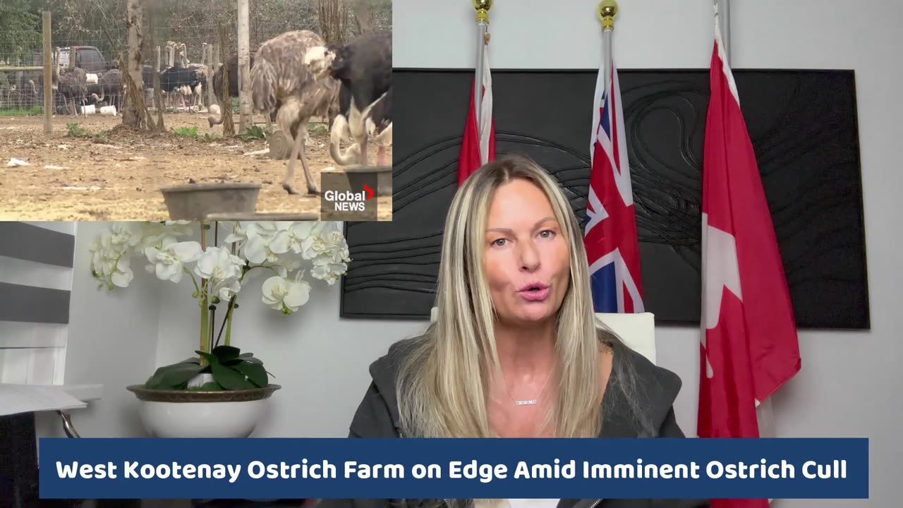 400 Healthy Ostriches Ordered to Be Slaughtered — RCMP Told to ‘Just Follow Orders = 1945 Germany