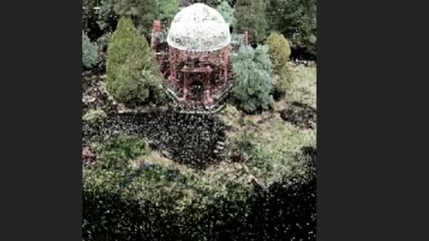 Tutorial How create splatter effect in after effect