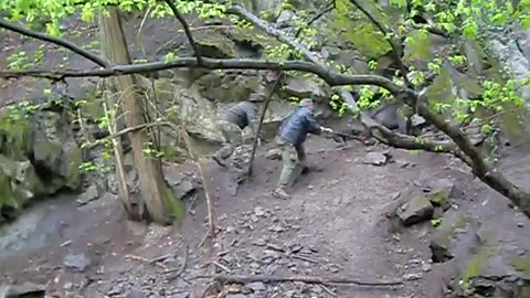 Jagdterrier catch dog in greece
