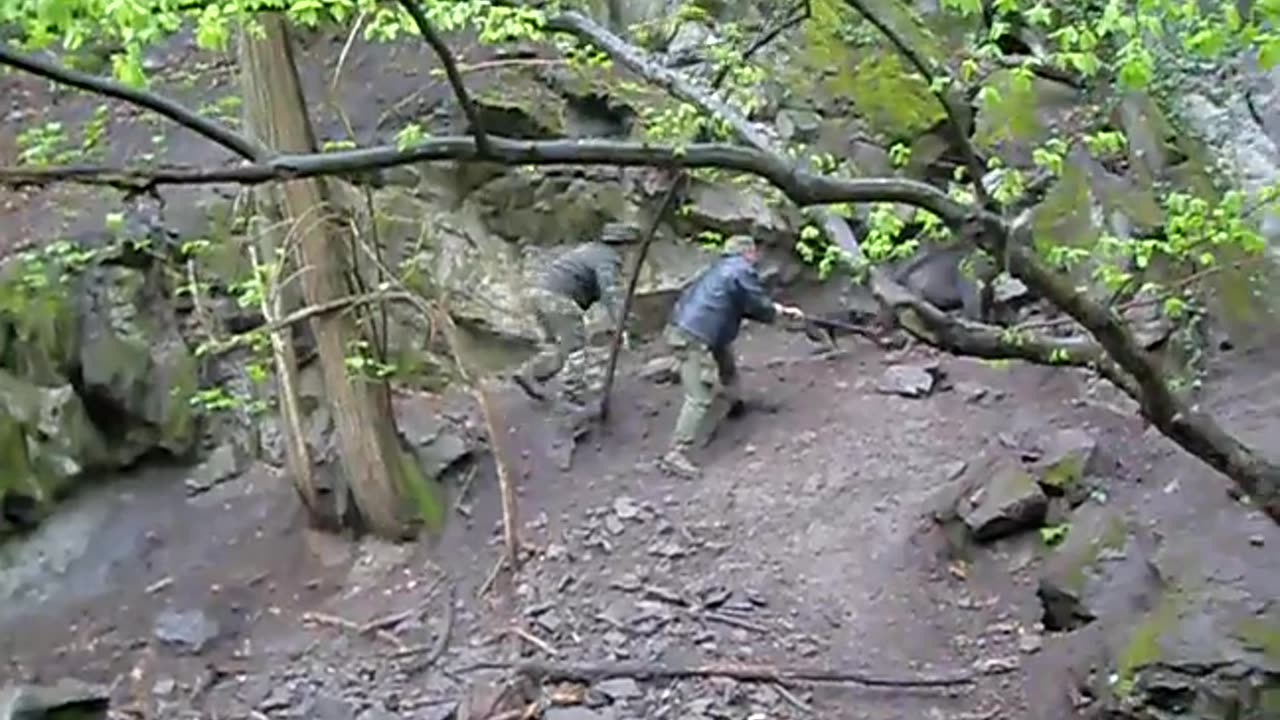 Jagdterrier catch dog in greece