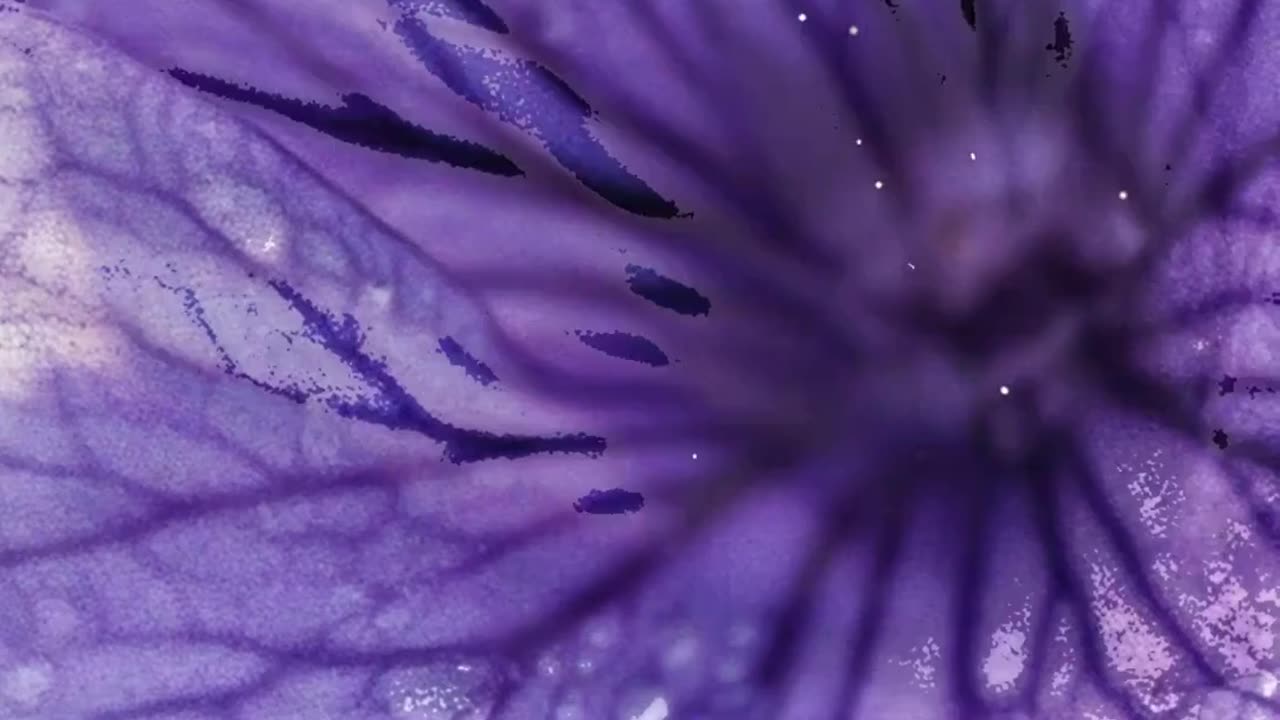 A Flower That Blooms Every 12 Years! 🌸✨